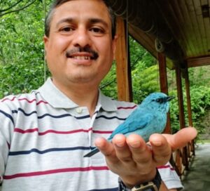 Healing a Bird