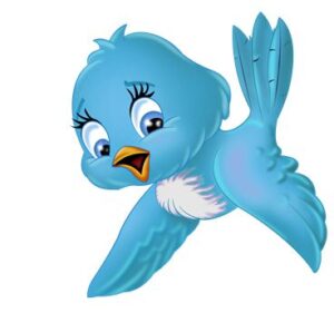 Bird Quantum Healing